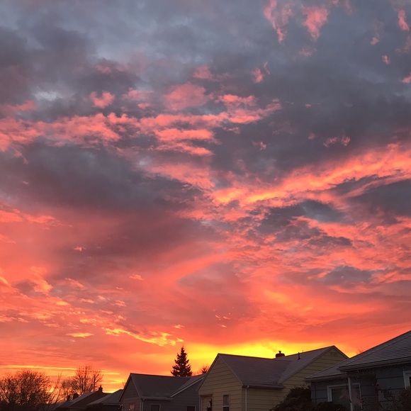 Meet your Posher, Laurie - Picture 1 of 1